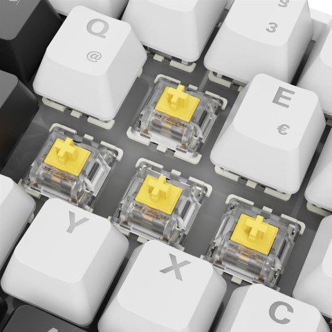 Klawiatura Sharkoon Gaming Keyboard Skiller SGK50S4 Gen2 biało-żółte RGB Sharkoon