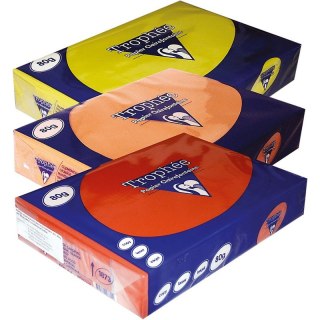 Papier Trophee A4/80g zieleń trawy (500)