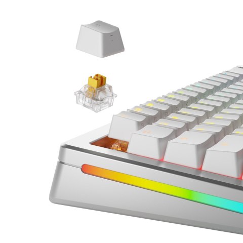 Glorious Gaming GLO-KB-ACC-SWT-PANDA-HE-36 bez kategorii GLORIOUS