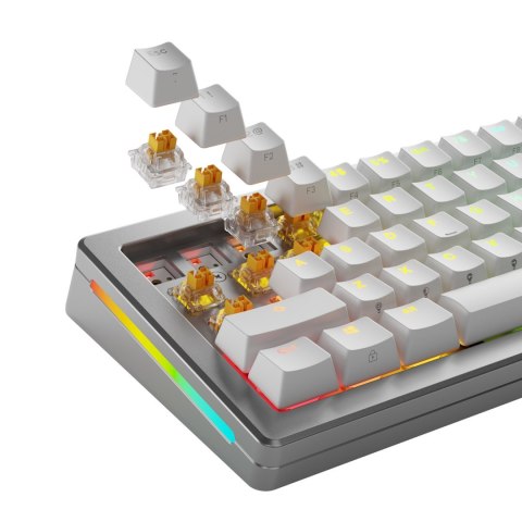 Glorious Gaming GLO-KB-ACC-SWT-PANDA-HE-36 bez kategorii GLORIOUS