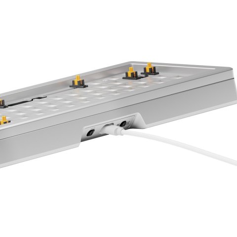 Glorious Gaming GLO-KB-GMMK3-PRO-65-BB-W-SIL-US klawiatura GLORIOUS