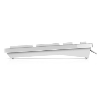 DELL Keyboard : US-Euro (Qwerty) Dell KB216 Quietkey USB, White Dell