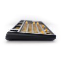 Ducky One 3 Hot-Swap Barebone TKL klawiatura Gaming USB US English Czarny Ducky