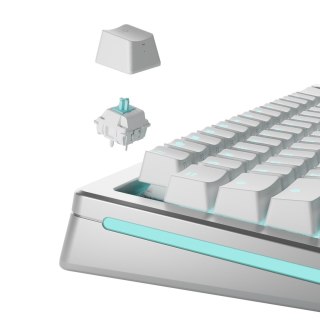 Glorious Gaming GLO-KB-ACC-SWT-LYNX-LUBED-36 bez kategorii GLORIOUS