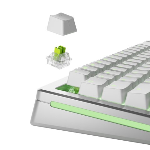 Glorious Gaming GLO-KB-ACC-SWT-RAPTOR-HE-36 bez kategorii GLORIOUS