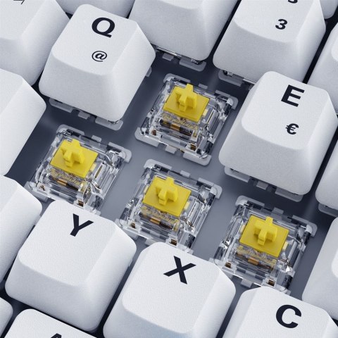 Sharkoon SKILLER SGK50 S3 PBT klawiatura Gaming USB QWERTZ Niemiecki Biały Skullcandy