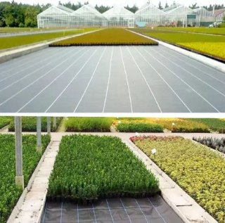 Agrotkanina Czarna 1,1x50m UV 135g Antychwastowa Agrowłóknina + Kotwy LEAN