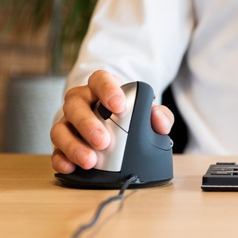 Ergonomiczna mysz dla praworęcznych R-Go Pele HE USB duża czarna/srebrna retail No name