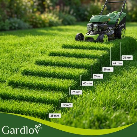 Kosiarka spalinowa z napędem DriveX Gardlov GARDLOV