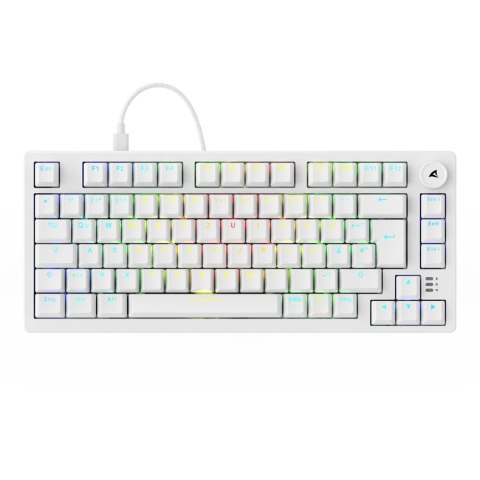 Sharkoon Gaming Tastatur Skiller SGK25 DE Sharkoon