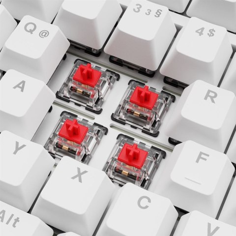 Sharkoon Gaming Tastatur Skiller SGK25 DE Sharkoon