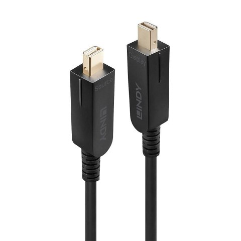 LINDY DisplayPort Fibre Optic Hybrid 1.4 Kabel 20m LINDY