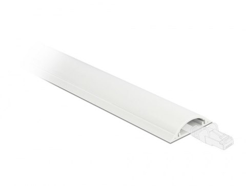 DeLOCK Korytko kablowe 30 x 8 mm - długość 1 m białe DELOCK