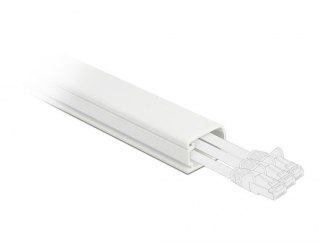 DeLOCK Korytko kablowe z pokrywą 22 x 15 mm - długość 1 m białe DELOCK