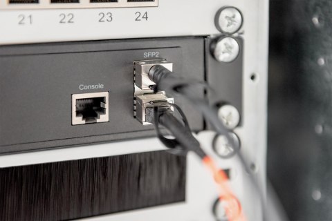 Digitus Kabel SFP + 10G 7m DAC DIGITUS