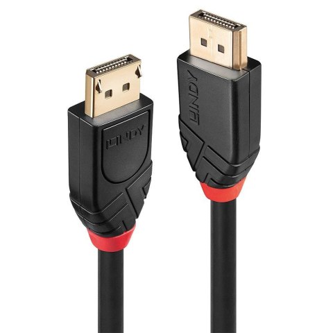 Lindy 41081 kabel DisplayPort 20 m Czarny LINDY