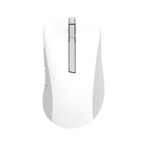 ASUS Wireless Mouse MD102 myszka Uniwersalne Po prawej stronie RF Wireless + Bluetooth Optyczny 1600 DPI ASUS