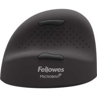 Fellowes 100143583 myszka Uniwersalne Po lewej stronie Bluetooth + USB Type-C Optyczny 2400 DPI FELLOWES