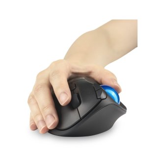 Kensington Pro Fit Ergo TB450 myszka Biuro Po prawej stronie RF Wireless + Bluetooth Manipulator kulkowy 1600 DPI Kensington