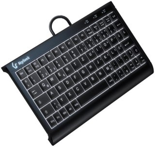 KeySonic KSK-3011ELC (DE) klawiatura Dom USB QWERTZ Niemiecki Czarny KeySonic