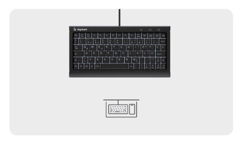 KeySonic KSK-3011ELC (DE) klawiatura Dom USB QWERTZ Niemiecki Czarny KeySonic