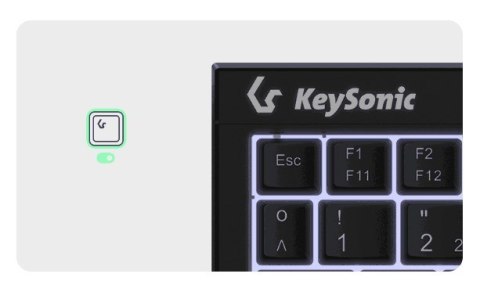 KeySonic KSK-3211ELU (DE) klawiatura Dom USB QWERTZ Niemiecki Czarny KeySonic