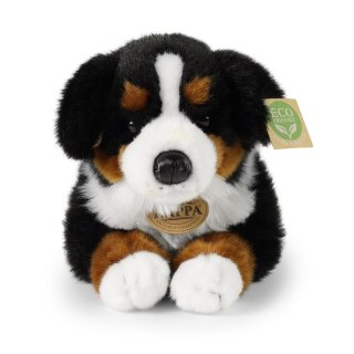 Rappa - Pluszowa realistyczna maskotka Berneński Pies Pasterski leżący 34 cm Eco-Friendly Rappa
