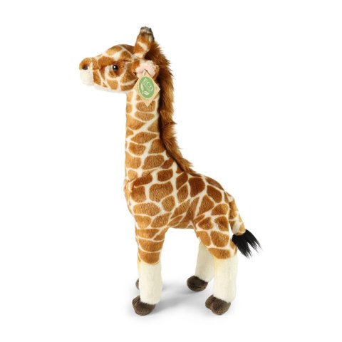 Rappa - Pluszowa realistyczna maskotka Żyrafa 42 cm Eco-Friendly Rappa