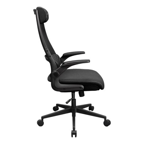 COUGAR CGR-STD-BLB COUGAR