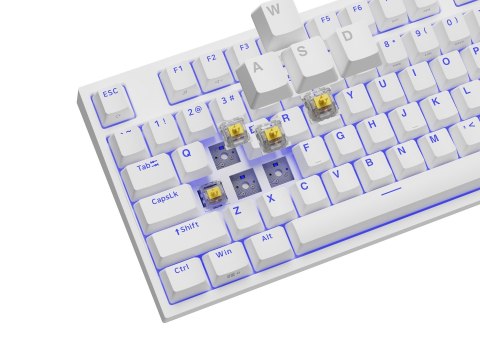 GENESIS Thor 404 TKL klawiatura Gaming USB QWERTY Amerykański międzynarodowy Biały GENESIS