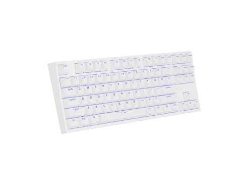 Genesis Thor 404 TKL biała RGB Kailh B GENESIS
