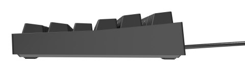 GENESIS Thor 404 TKL klawiatura Gaming USB QWERTY Amerykański międzynarodowy Czarny GENESIS