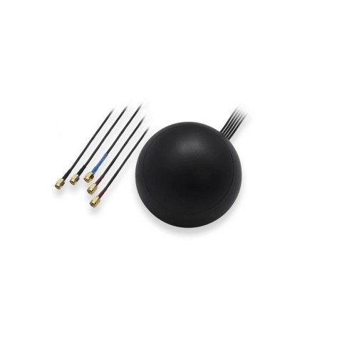 Teltonika PR1KCO28 antena Antena kierunkowa MIMO SMA 28 dBi Teltonika