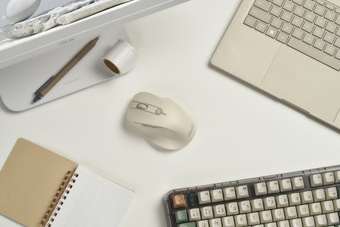 ASUS MD105 MOUSE/MK-WH myszka Uniwersalne Po prawej stronie RF Wireless + Bluetooth 2400 DPI ASUS