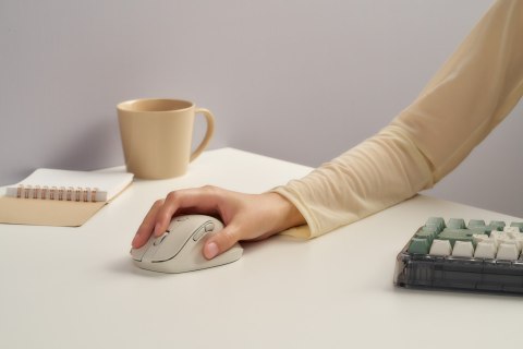 ASUS MD105 MOUSE/MK-WH myszka Uniwersalne Po prawej stronie RF Wireless + Bluetooth 2400 DPI ASUS