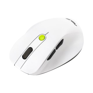 ASUS MD105 MOUSE/VT-GN myszka Uniwersalne Po prawej stronie RF Wireless + Bluetooth 2400 DPI ASUS