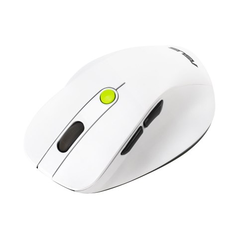 ASUS MD105 MOUSE/VT-GN myszka Uniwersalne Po prawej stronie RF Wireless + Bluetooth 2400 DPI ASUS
