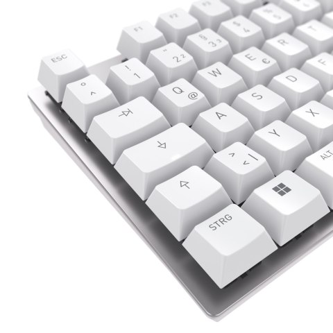 KEYBOARD CORDED MECHANICAL/SILVER DE Cherry