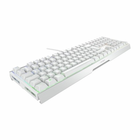 Klawiatura CHERRY XTRFY MX 3.1 - Pełny rozmiar - Podświetlenie - USB-C - QWERTZ - Niemiecki - Przełącznik kluczykowy: CHERRY MX2 Cherry