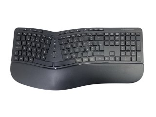 Conceptronic Orazio Ergo Wireless No name