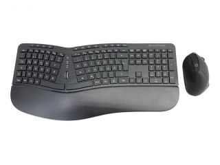 Conceptronic Orazio Ergo Wireless myszka No name