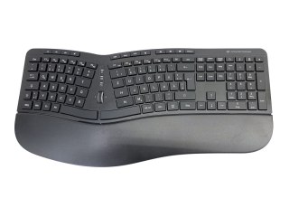 Conceptronic Orazio Ergo Wireless myszka No name