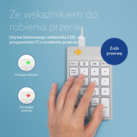 Klawiatura numeryczna Numpad Ścienna Kabel biała No name