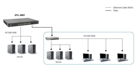LevelOne GTL-2881 przełącznik sieciowy Zarządzany L3 Gigabit Ethernet (10/100/1000) Szary No name