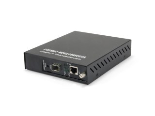 LevelOne GVM-1000 - Media konwerter - Ethernet, Fast Ethernet - 10Base-T, 100Base-TX, 1000Base-T, 1000Base-X - RJ-45 / SFP (mini No name