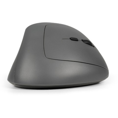 BakkerElkhuizen MidWay myszka Biuro Po prawej stronie RF Wireless + Bluetooth + USB Type-C Optyczny 2400 DPI No name