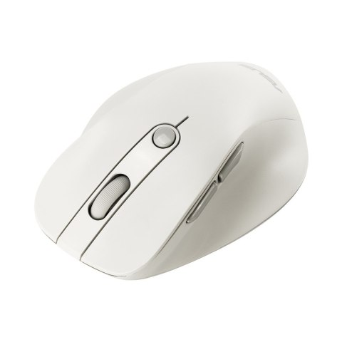 Mysz bezprzewodowa ASUS MD105 Wireless Mouse Milky White 2400DPI Dual-mode wireless 2.4 GHz and Bluetooth ASUS
