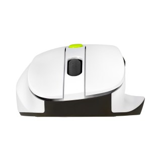 Mysz bezprzewodowa ASUS MD105 Wireless Mouse Volt Green 2400DPI Dual-mode wireless 2.4 GHz and Bluetooth ASUS