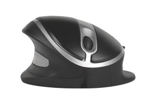 Bezprzewodowa sprzedaż detaliczna myszy BakkerElkhuizen Oyster Mouse No name