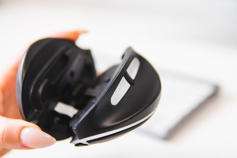 Bezprzewodowa sprzedaż detaliczna myszy BakkerElkhuizen Oyster Mouse No name